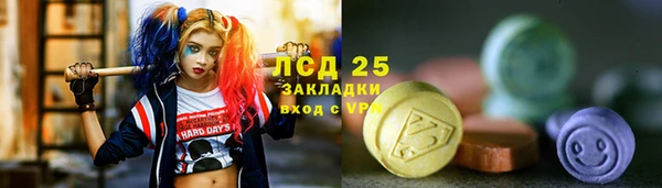 прущие грибы Алзамай