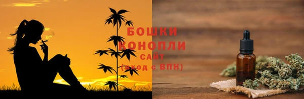 прущие грибы Алзамай