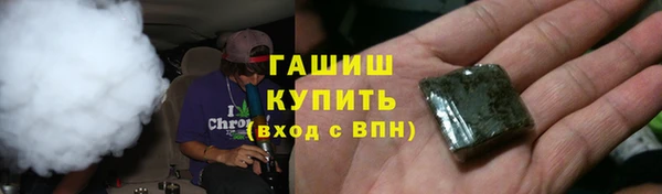 прущие грибы Алзамай
